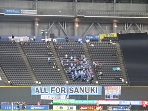 1478333372-DSC04225.JPG