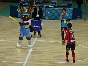 1478658858-DSC04348.JPG
