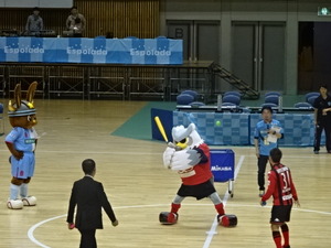 1478658880-DSC04351.JPG