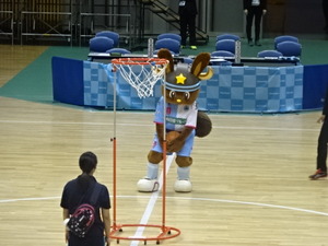 1478658913-DSC04356.JPG