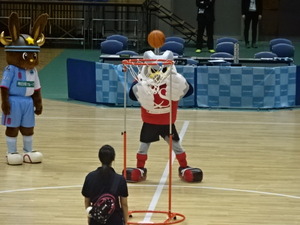 1478658938-DSC04357.JPG