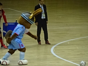 1478659893-DSC04365.JPG