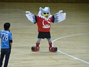 1478659963-DSC04368.JPG