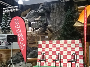 1479050064-DSC04480.JPG