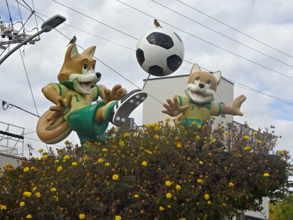 1479150901-DSC04386.JPG