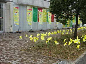 1479151569-DSC04394.JPG