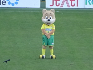 1479177403-DSC04475.JPG
