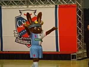 1484537243-DSC04955.JPG