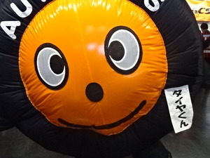 1490233317-DSC05331.JPG