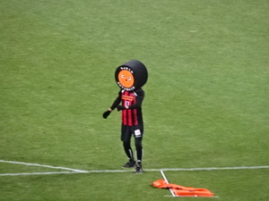 1491085090-DSC05400.JPG