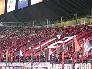 1491880681-DSC05441.JPG