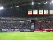1492399543-DSC05495.JPG