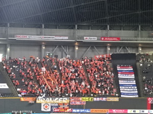 1494387013-DSC05654.JPG