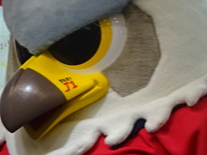 1494898985-DSC05705.JPG