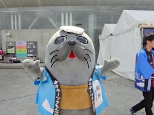1501548856-DSC06402.JPG