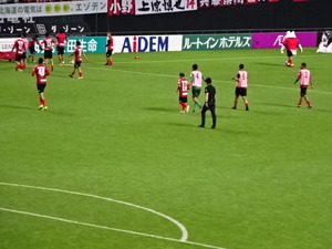 1502392980-DSC06584.JPG