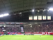 1502742858-DSC06633.JPG