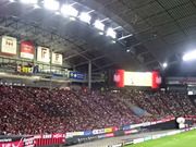 1502742959-DSC06634.JPG