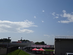 1503752579-DSC06655.JPG