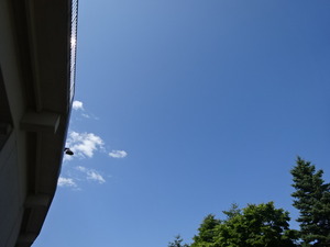 1503752591-DSC06661.JPG