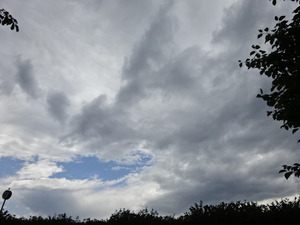 1503753006-DSC06667.JPG
