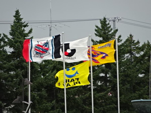 1503753057-DSC06671.JPG