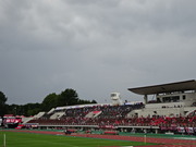 1503753797-DSC06682.JPG