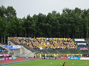 1503753942-DSC06686.JPG