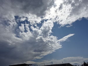 1503754093-DSC06687.JPG