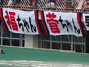 1503781291-DSC06709.JPG