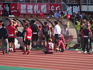 1503781720-DSC06720.JPG