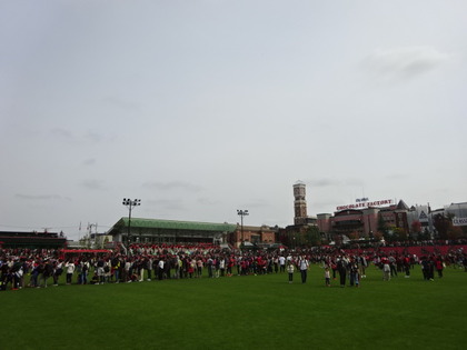 1507497326-DSC07083.JPG