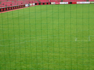1507646664-DSC07177.JPG