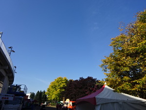 1508160499-DSC07179.JPG