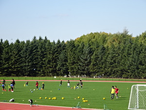 1508160605-DSC07185.JPG