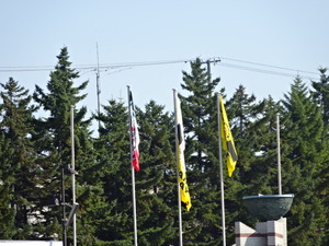 1508256824-DSC07200.JPG