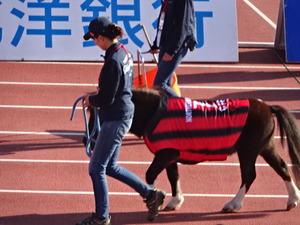 1508332532-DSC07224.JPG