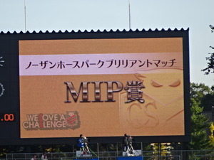 1508332973-DSC07236.JPG