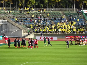 1508334172-DSC07248.JPG