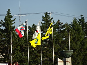 1508334232-DSC07249.JPG