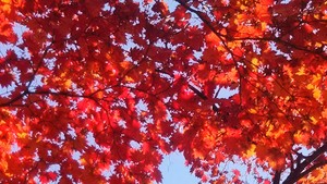 1509089201-IMG_20171027_160508.jpg