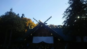 1509089275-IMG_20171027_160311.jpg
