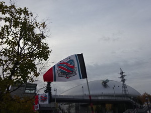 1509288227-DSC07311.JPG