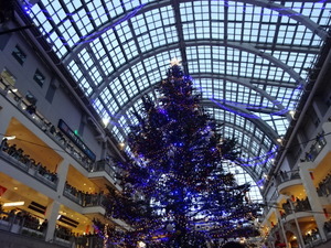 1514024817-DSC07818.JPG