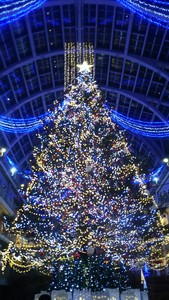 1514066113-IMG_20171224_065410.jpg