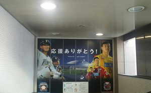 1520784517-IMG_20180312_004809.jpg