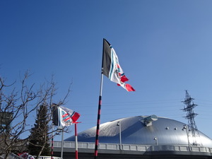 1521099295-DSC07962.JPG