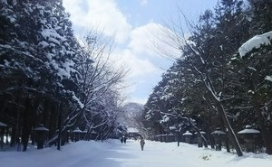 1521272741-IMG_20180317_162830.jpg
