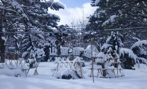 1521272781-IMG_20180317_163822.jpg