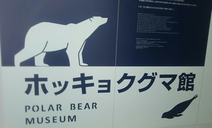 1521272797-IMG_20180317_163804.jpg